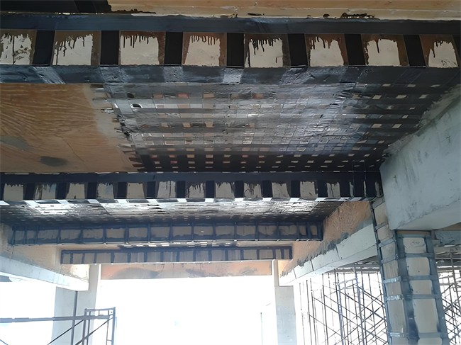 1723702583560600.jpg 375f234f-8198-404a-a7e9-465f001e1a1e.jpg